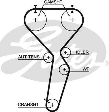 Gates 5585XS - Ремінь ГРМ autocars.com.ua
