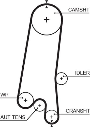 GATES 5597XS - Ремінь ГРМ autocars.com.ua