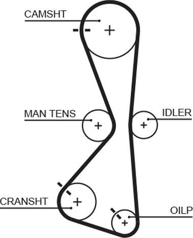 GATES 5609XS - Ремінь ГРМ autocars.com.ua