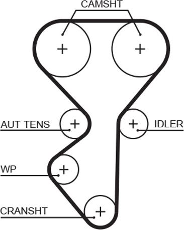 GATES 5631XS - Ремінь ГРМ autocars.com.ua