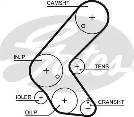 Gates 5679XS - Ремінь ГРМ autocars.com.ua