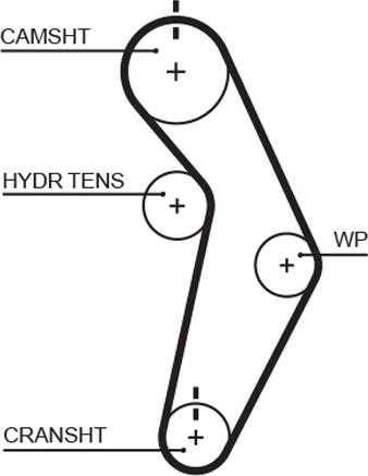 GATES T245 - Ремінь ГРМ autocars.com.ua