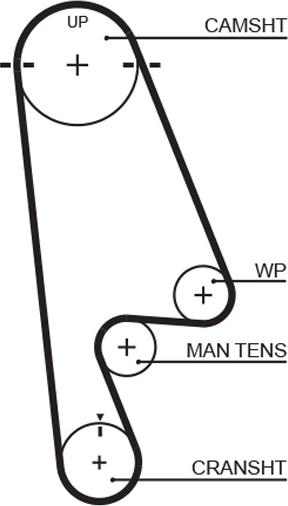 GATES T244RB - Ремінь ГРМ autocars.com.ua