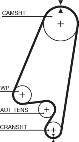 GATES-AU T1022 - Ремінь ГРМ autocars.com.ua