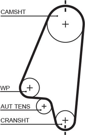 GATES-AU T1041 - Ремінь ГРМ autocars.com.ua