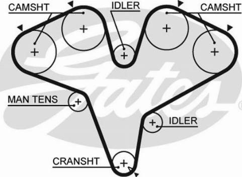GATES-AU T180 - Ремінь ГРМ autocars.com.ua
