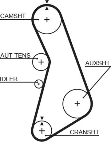 GATES-AU T317 - Ремінь ГРМ autocars.com.ua