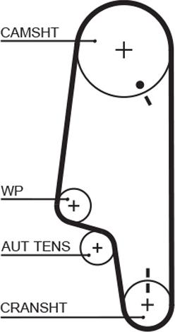 GATES-AU T788 - Ремінь ГРМ autocars.com.ua