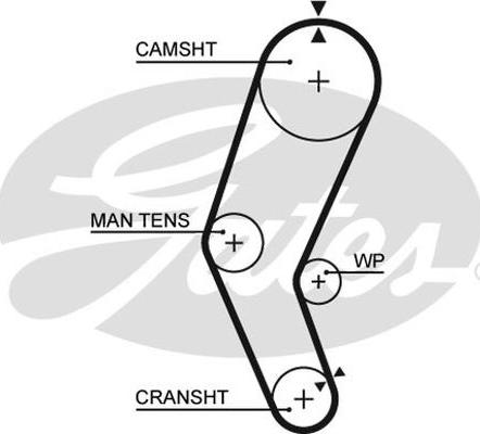GATES T962 - Ремінь ГРМ autocars.com.ua