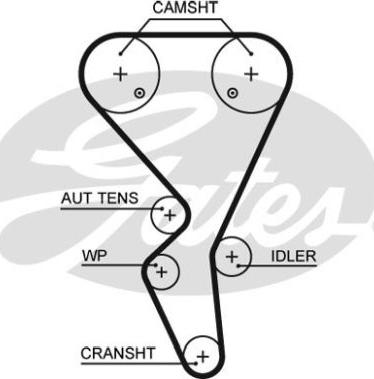 GATES 76134X1XS - Ремінь ГРМ autocars.com.ua