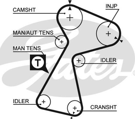 GATES T1562 - Ремінь ГРМ autocars.com.ua