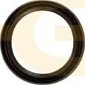 GGT SEKD001 - Уплотняющее кольцо, коленчатый вал autodnr.net