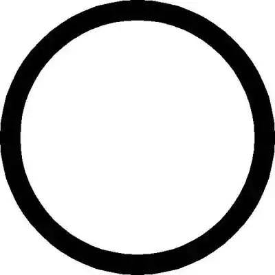 Glaser X89899-01 - Прокладка, впускний колектор autocars.com.ua