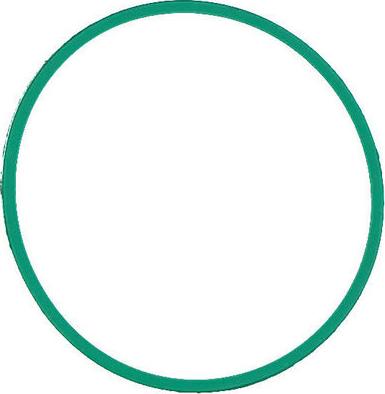 Glaser X90454-01 - Прокладка, впускний колектор autocars.com.ua