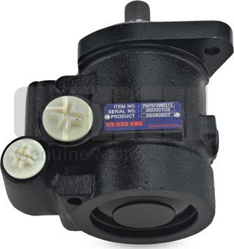 GMW PM55213 - Гідравлічний насос, рульове управління, ГУР autocars.com.ua