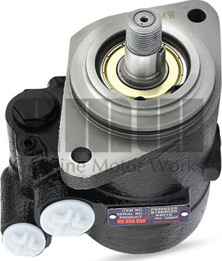 GMW PM55225 - Гідравлічний насос, рульове управління, ГУР autocars.com.ua