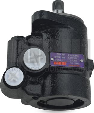 GMW PM55243 - Гідравлічний насос, рульове управління, ГУР autocars.com.ua