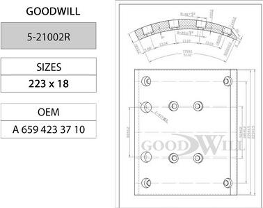 GoodWill 5-21002 R - Комплект тормозных колодок, барабанные avtokuzovplus.com.ua