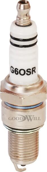 GoodWill G6 OSR - Вилка, свеча зажигания autodnr.net