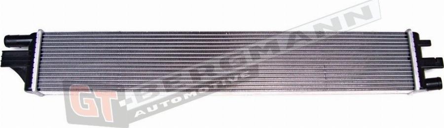 GT-BERGMANN GT10-006 - Радіатор, охолодження двигуна autocars.com.ua