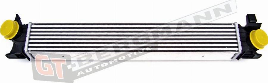 GT-BERGMANN GT12-009 - Интеркулер autocars.com.ua