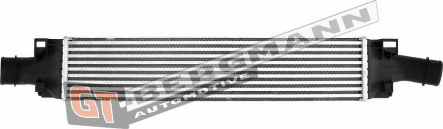 GT-BERGMANN GT12-027 - Интеркулер autocars.com.ua