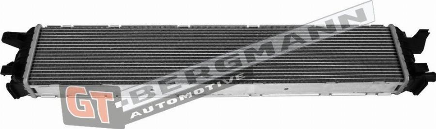 GT-BERGMANN GT12-031 - Низькотемпературний охолоджувач, інтеркулер autocars.com.ua