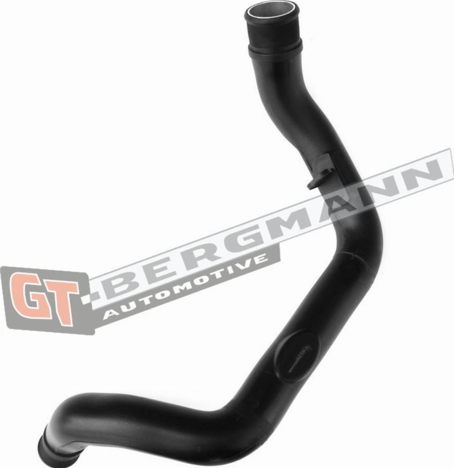 GT-BERGMANN GT52-259 - Трубка нагнітається повітря autocars.com.ua