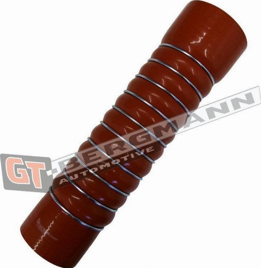 GT-BERGMANN GT52-732 - Трубка нагнітається повітря autocars.com.ua