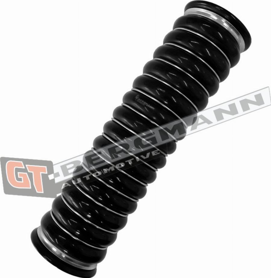 GT-BERGMANN GT52-735 - Трубка нагнітається повітря autocars.com.ua