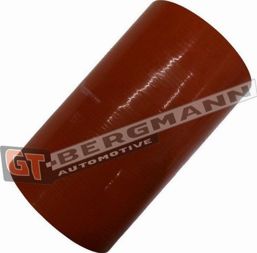 GT-BERGMANN GT52-748 - Трубка нагнітається повітря autocars.com.ua