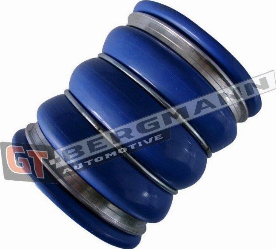 GT-BERGMANN GT52-770 - Трубка нагнітається повітря autocars.com.ua