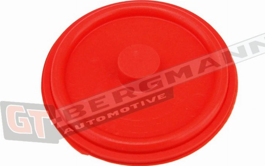 GT-BERGMANN GT58-013 - Мембрана, вентиляція картера autocars.com.ua