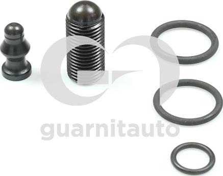 Guarnitauto 094797-1000 - Комплект прокладок, форсунка autocars.com.ua