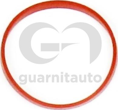 Guarnitauto 181521-8000 - Прокладка, впускний колектор autocars.com.ua