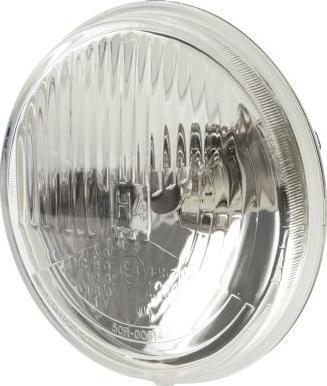 HELLA 1A3 002 850-031 - Вставка фари, основна фара autocars.com.ua