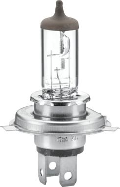 HELLA 8GJ 002 525-133 - Лампа накаливания, основная фара autodnr.net