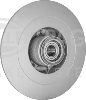 HELLA PAGID 8DD 355 123-171 - Гальмівний диск autocars.com.ua