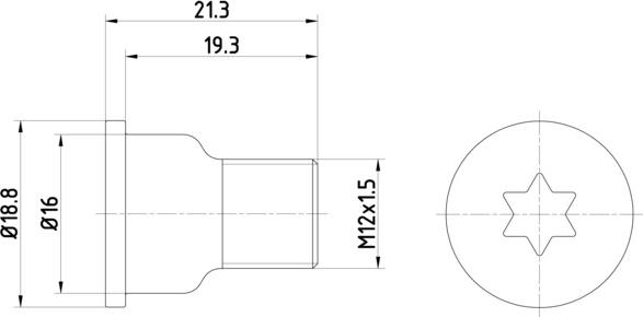 HELLA PAGID 8DZ 355 209-051 - Болт, диск тормозного механизма avtokuzovplus.com.ua