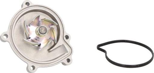 Hepu P1539 - Водяний насос autocars.com.ua