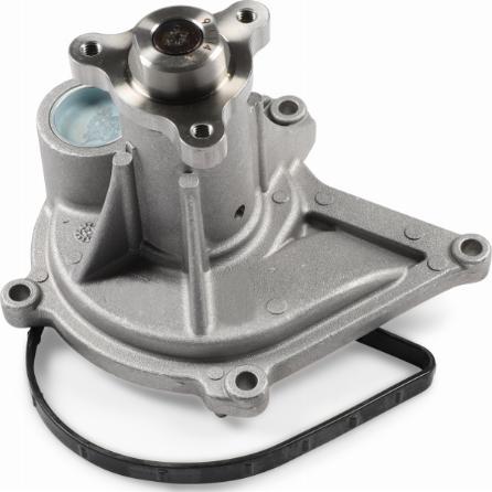 Hepu P3006 - Водяний насос autocars.com.ua