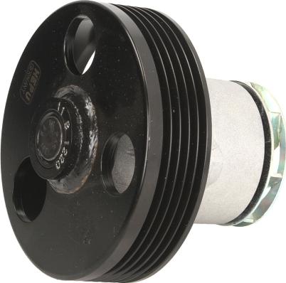 Hepu P668 - Водяний насос autocars.com.ua