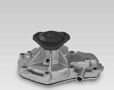 Hepu P824 - Водяний насос autocars.com.ua