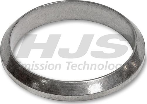 HJS 83 12 1859 - Уплотнительное кольцо, труба выхлопного газа avtokuzovplus.com.ua