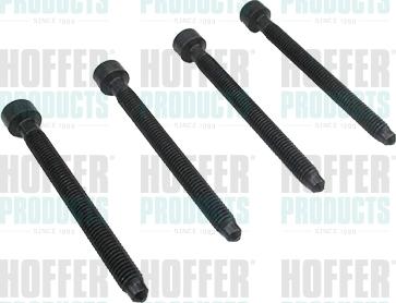 Hoffer 98093 - Гвинт, насос високого тиску autocars.com.ua