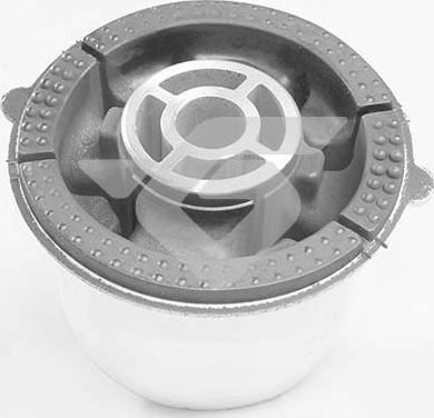 Hutchinson 531A02 - Втулка, балка мосту autocars.com.ua