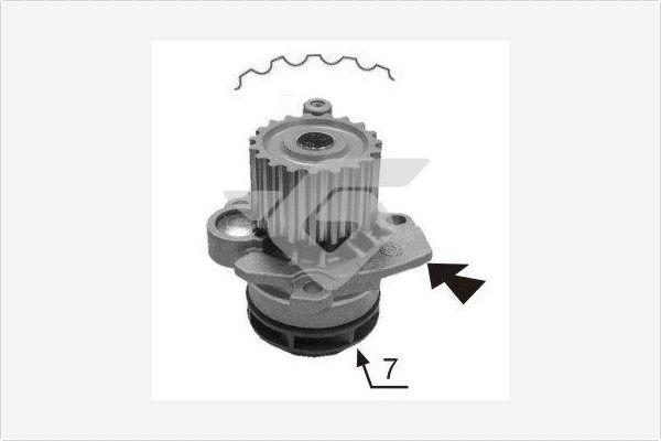 Hutchinson WP0067V - Водяний насос autocars.com.ua