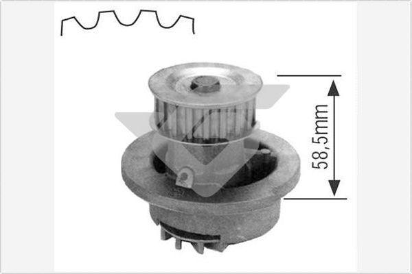 Hutchinson WP02 - Водяний насос autocars.com.ua