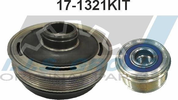 IJS GROUP 17-1321KIT - Шкив коленчатого вала autodnr.net