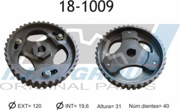 IJS GROUP 18-1009 - Шестерня, розподільчий вал autocars.com.ua